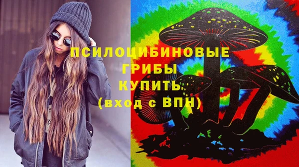 прущая мука Алексин