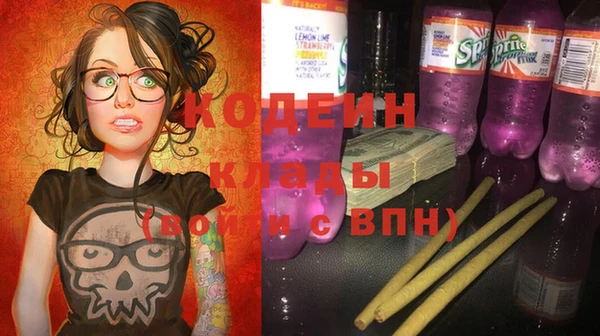 хмурый Алзамай