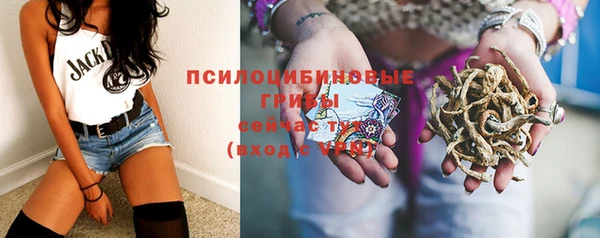 хмурый Алзамай
